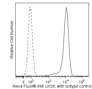 Lin28_A488_-_TDS_Figure_20130925.png
